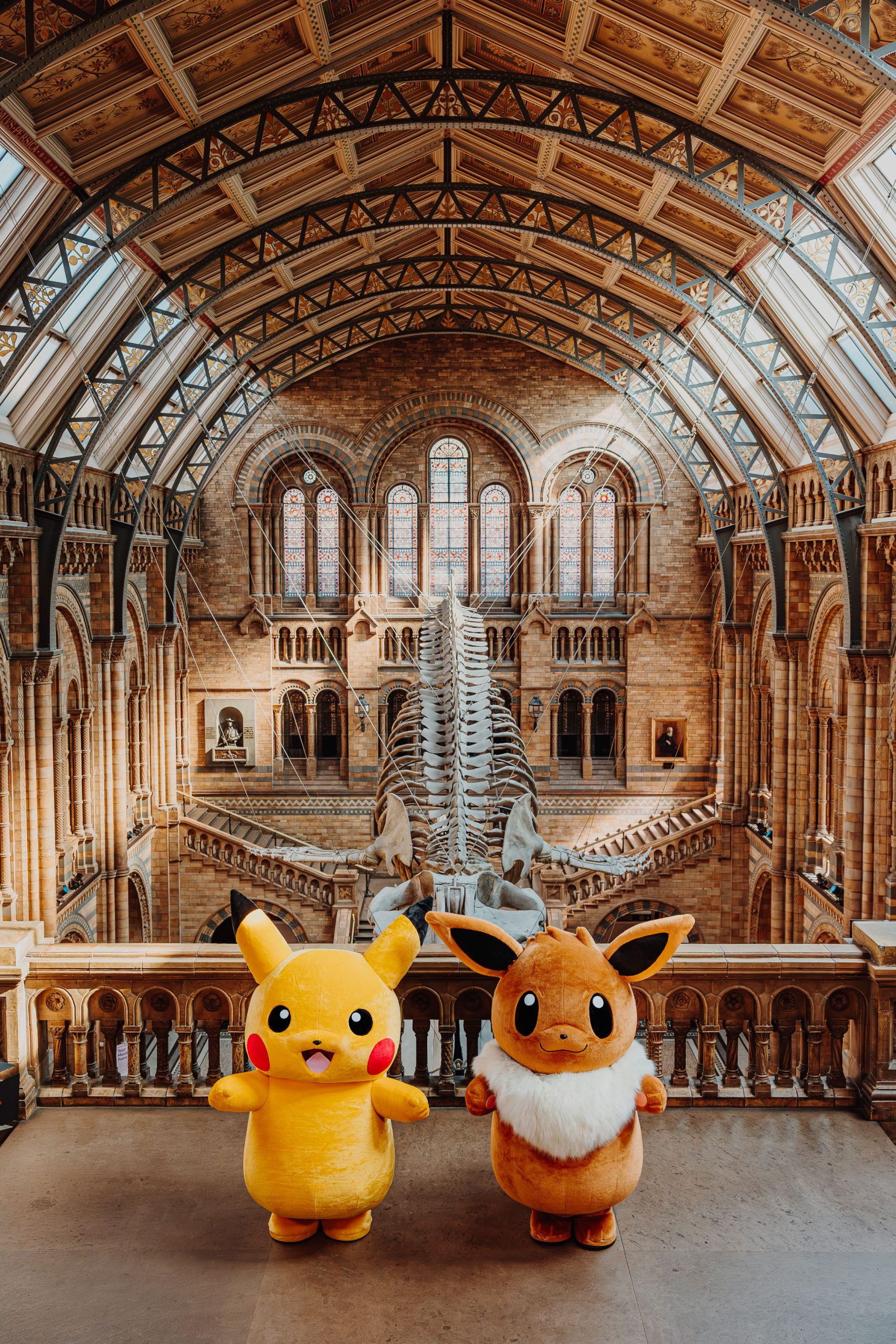 Discover the Pokémon Natural History Museum: A Unique Experience ...