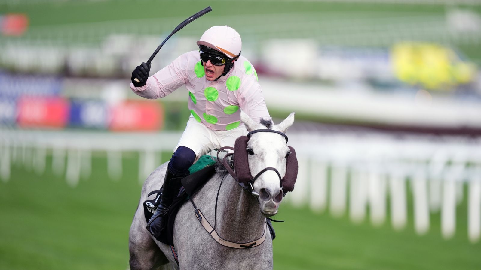 Cheltenham Races Today: Race Day Guide