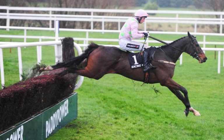 What We Know About Rich Ricci Horses – Invisiverse News